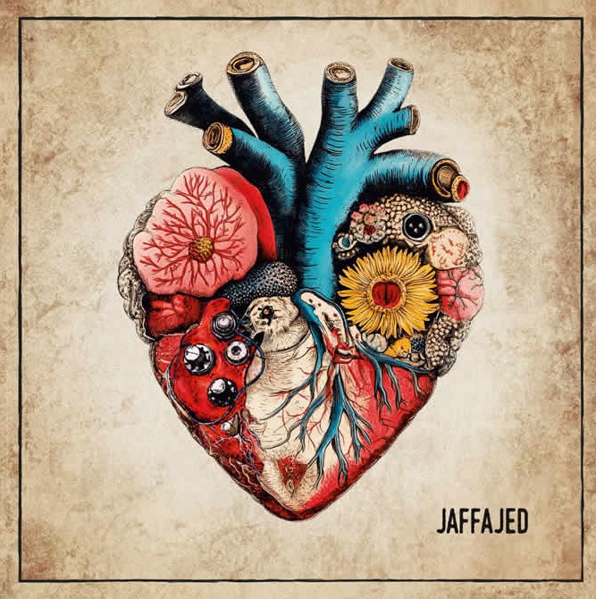 Jaffajed